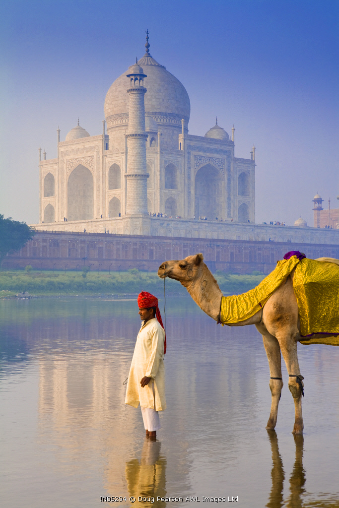 Camal &amp; Driver, Taj Mahal, Agra, Uttar Pradesh, India, MR